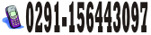 tel: 0291-156443097